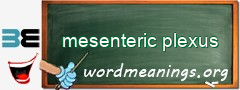 WordMeaning blackboard for mesenteric plexus